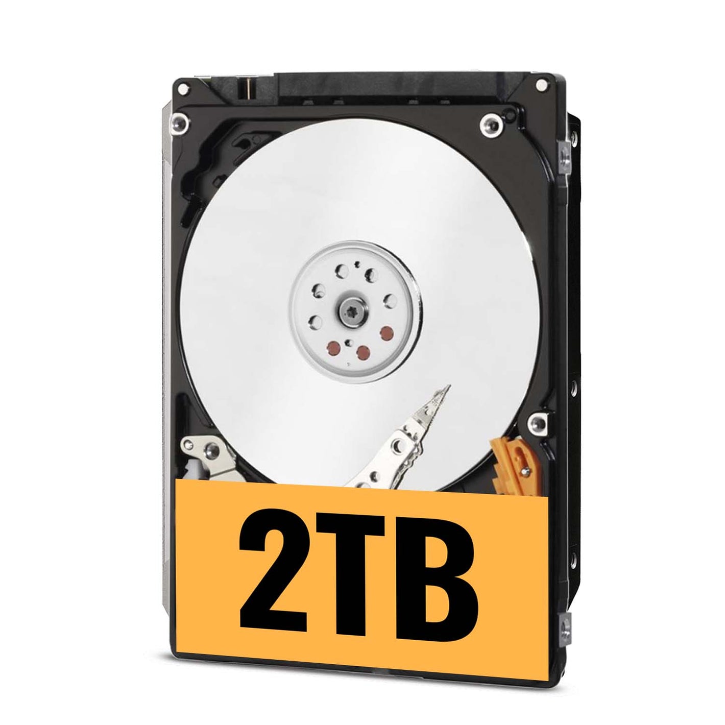 2TB Professional Surveillance Hard Drive